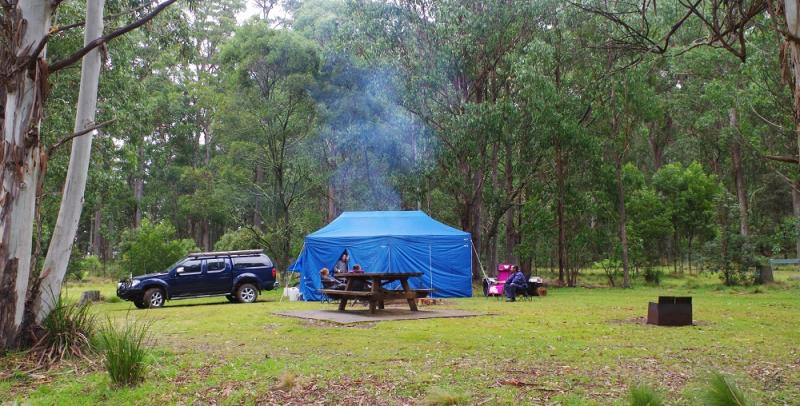 New Country SwampGroup camping site.