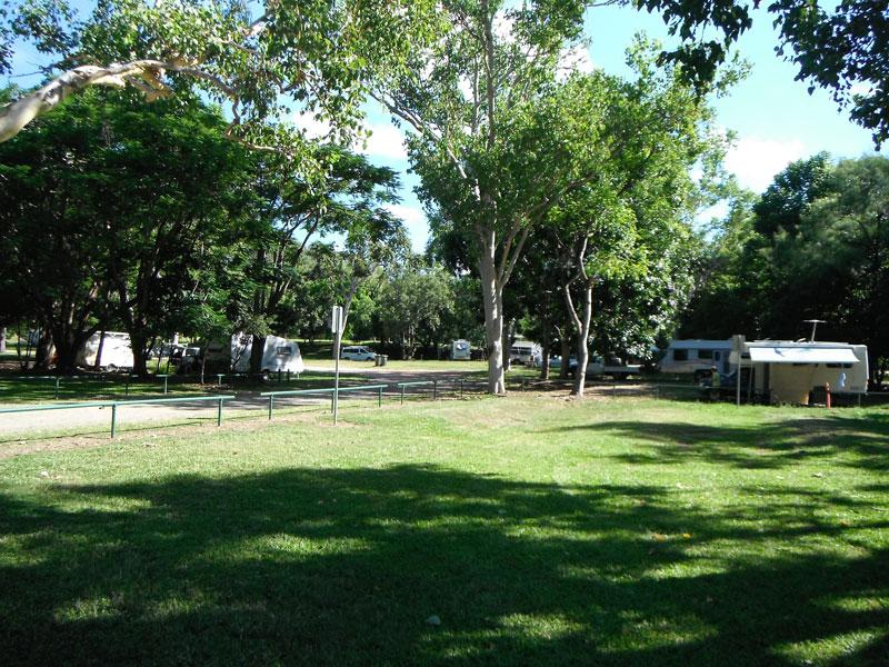 Camping area at Bushy ParkerThe campground is large, grassy and well shaded.