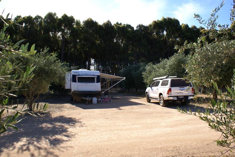 Olive Hill Farm RV CampgroundLarge camping bays at Olive Hill Farm RV campground