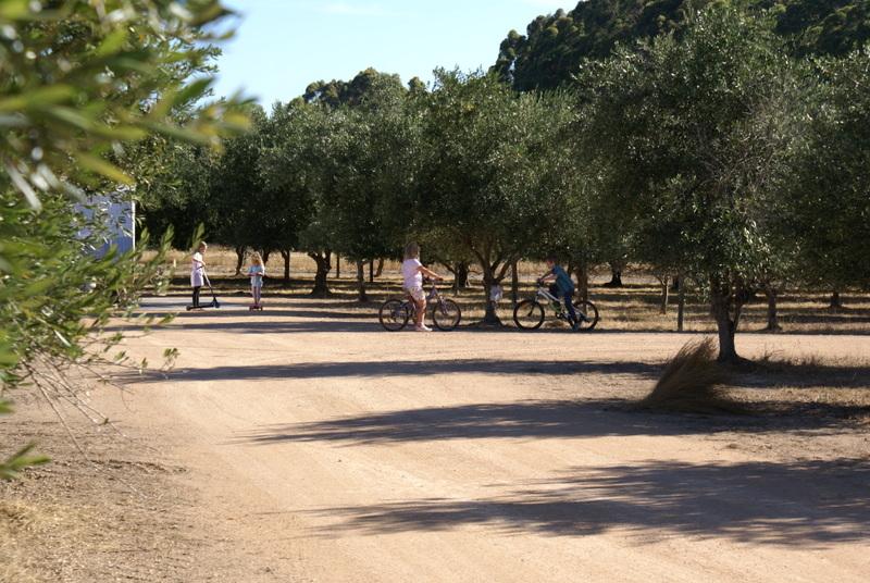 Olive Hill Farm RV CampgroundFamily and Pet Friendly campground