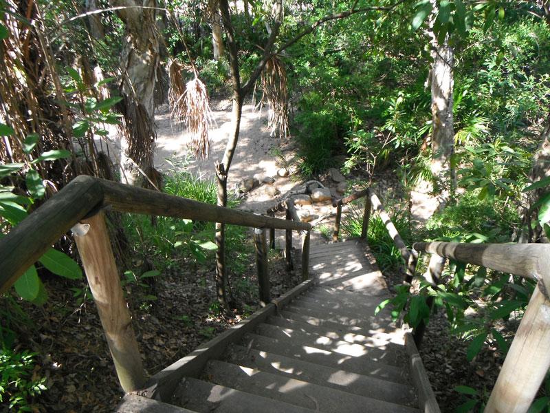 Stairs to the swimming holeThe swimming hole at Bushy Parker rest are is accessible via a set of wooden stairs and a short sandy path.