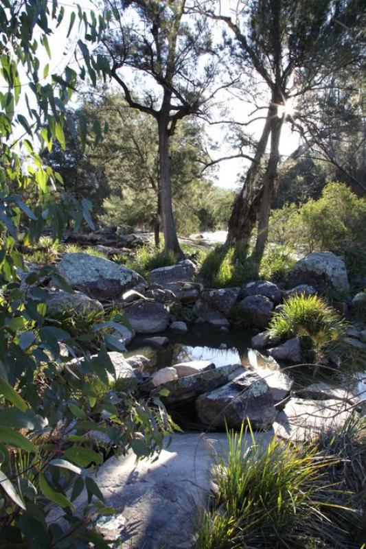 Namoi River, Warrabah National ParkEucalypt, lomandra and casurina grow between granite and line the banks of the Namoi River.  This spot is on the river between the two camp grounds.