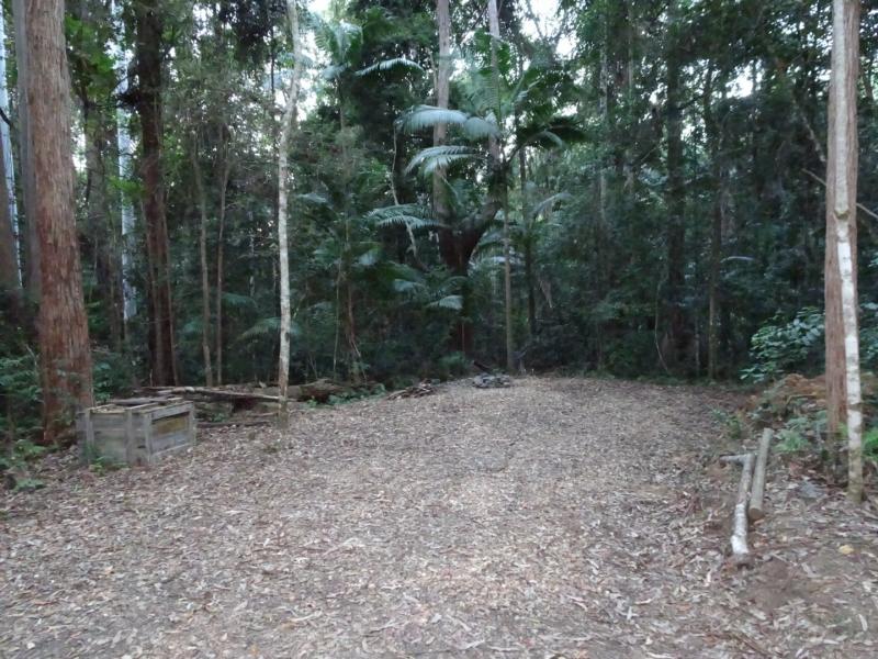 Laniakea Rainforest Camping2nd Camp ground, suits small to med/large caravan, large vans or large tents. Easy turning 2 wheel drive access. 