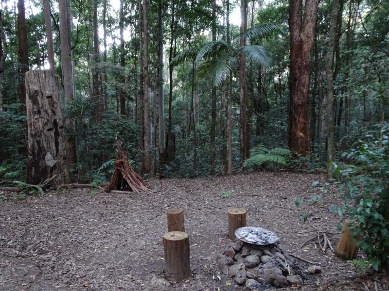 Laniakea Rainforest CampingTepee Terriors. Suits large tents with your 2wheel drive car right next to camp site. Fire pit provided, you are welcome to collect kinderling 2-3cm in diameter, solid chunk sustainable non habitat fire wood available for purchase 
