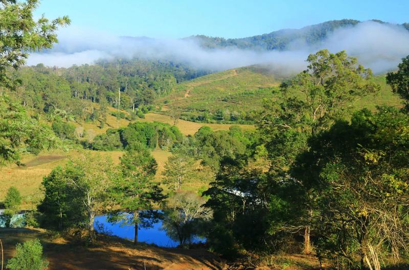 Bluff Creek KenilworthMisty morning