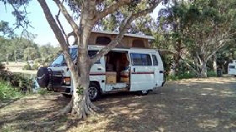 Calliope River Rest AreaPlenty of shade and easy access...