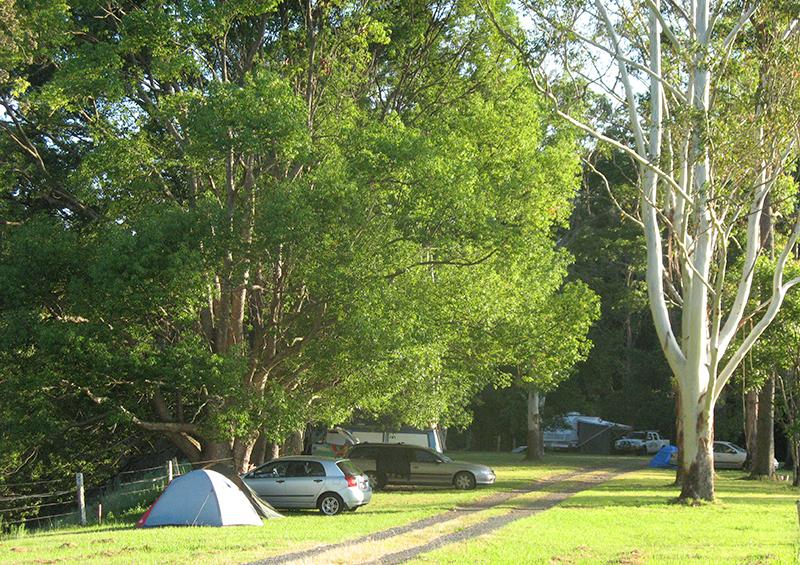 The Channon VillageShady trees means lots of birdlife