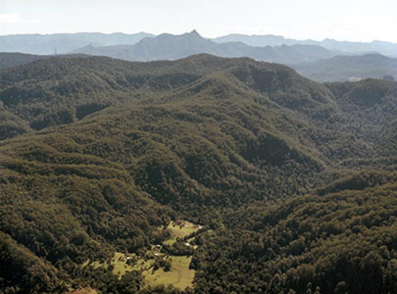 The Channon VillageNightcap National Park is 14 km north of the campground.  It has some of the best lowland subtropical rainforest in Australia.