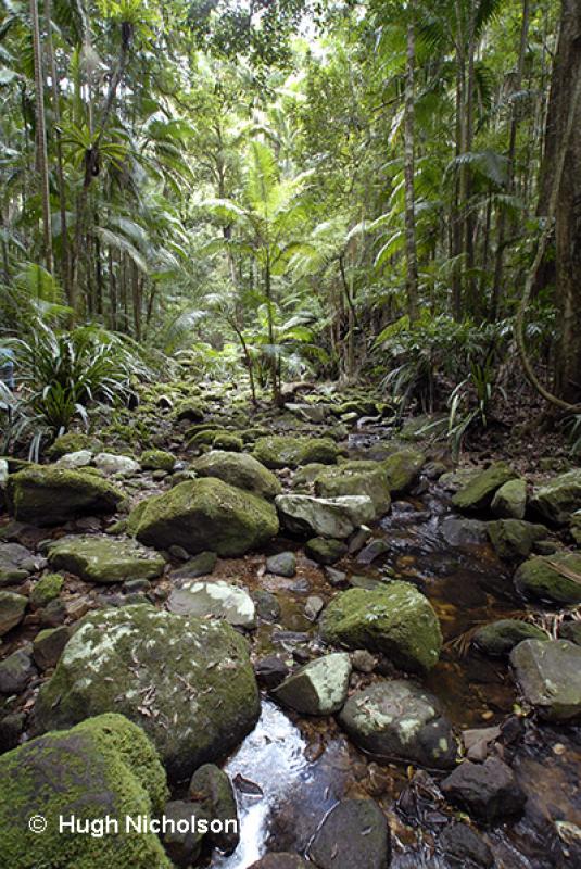 The Channon VillageThe creek on the walk to Protestors\' Falls, Nightcap National Park.