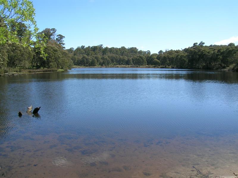 Paddys River Dam