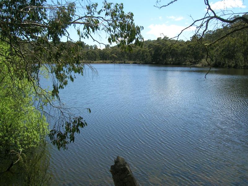 Paddys River Dam