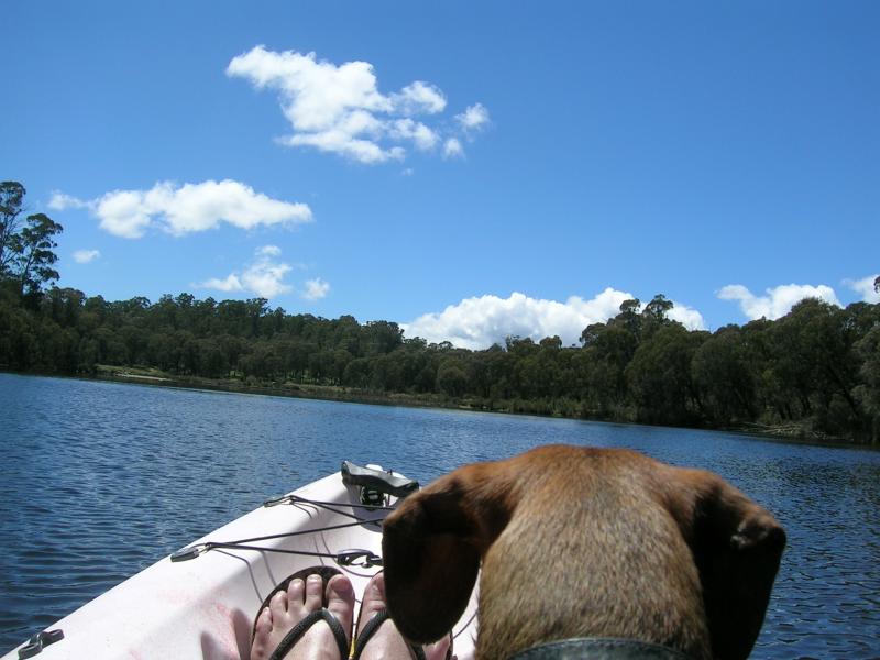 Paddys River Dam