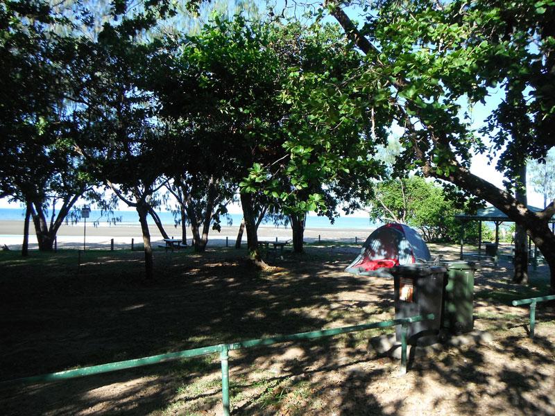 Balgal Beach CampgroundThe campgroudn is well suited to tent based camping and the area is flat and well grassed with plenty of shade.