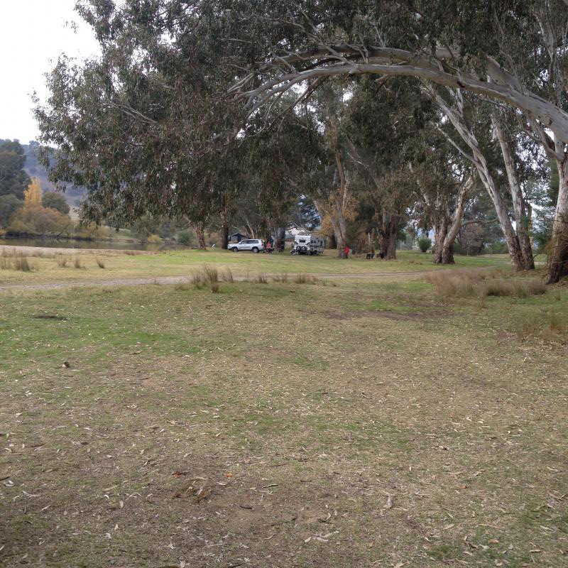 Burrowye ReserveLarge open spaces and plenty of shade