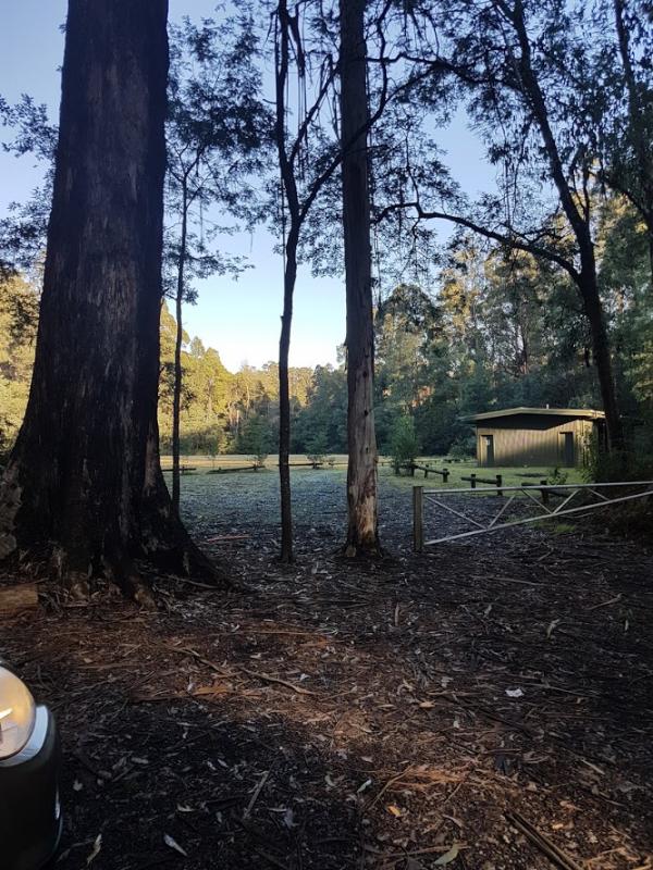 Toolangi Recreation ReserveLooking into the campground from the carpark