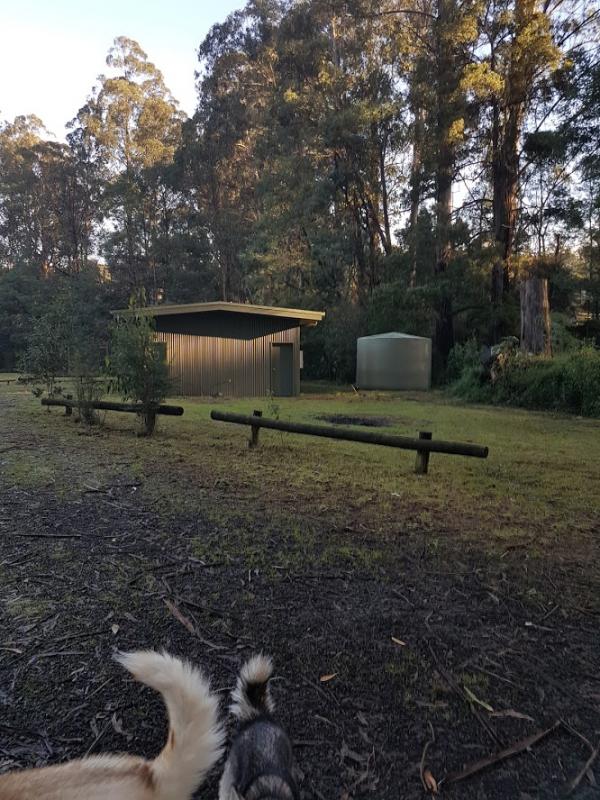 Toolangi Recreation ReserveLooking towards the BBQ area