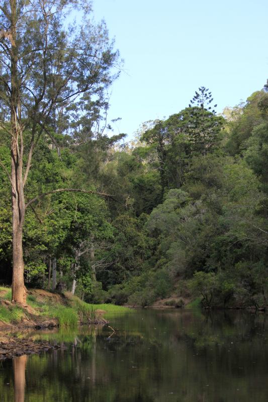 Webbs BreakSwimming spot