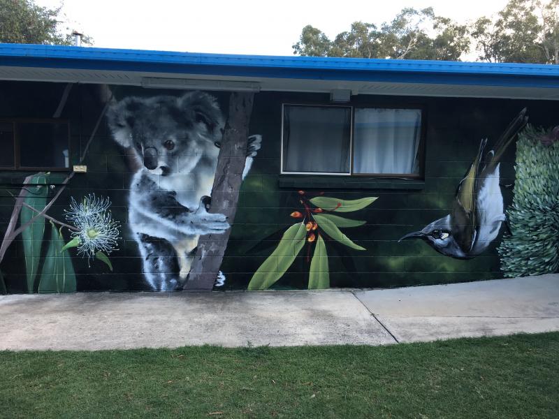 Apex Camps Sunshine CoastWall murals