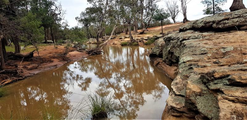 How`s the Serenity Camping Ground