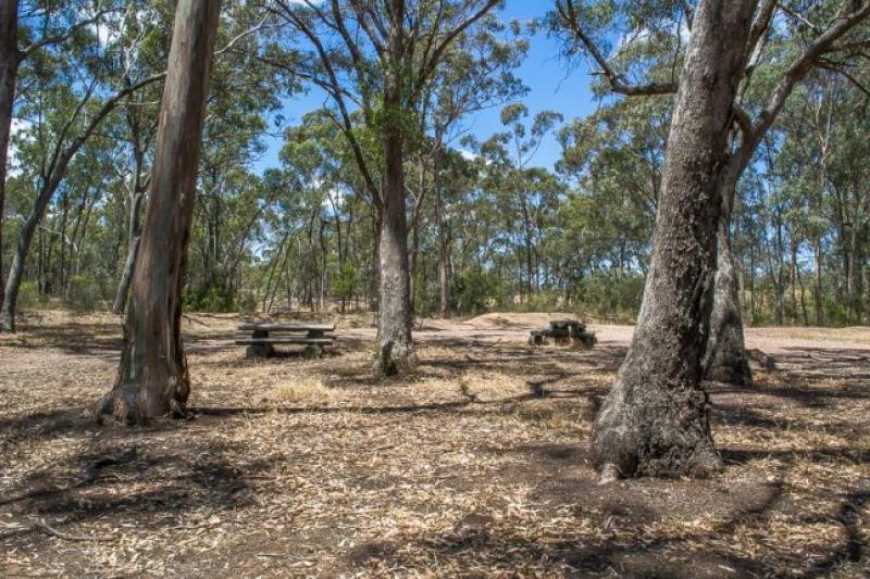 Bullock Picnic Ground