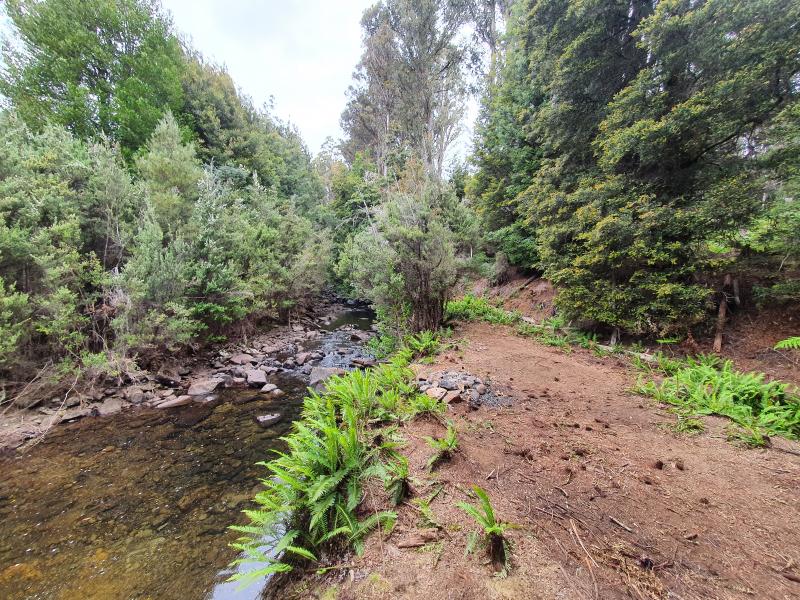 Upper Repulse RiverBy the river